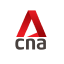 CNA Logo Vertical Institute